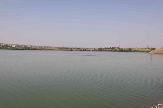 Diyarbakır’da Su Kaynaklarına 2 Milyon 904 Bin Sazan Balığı Bırakıldı