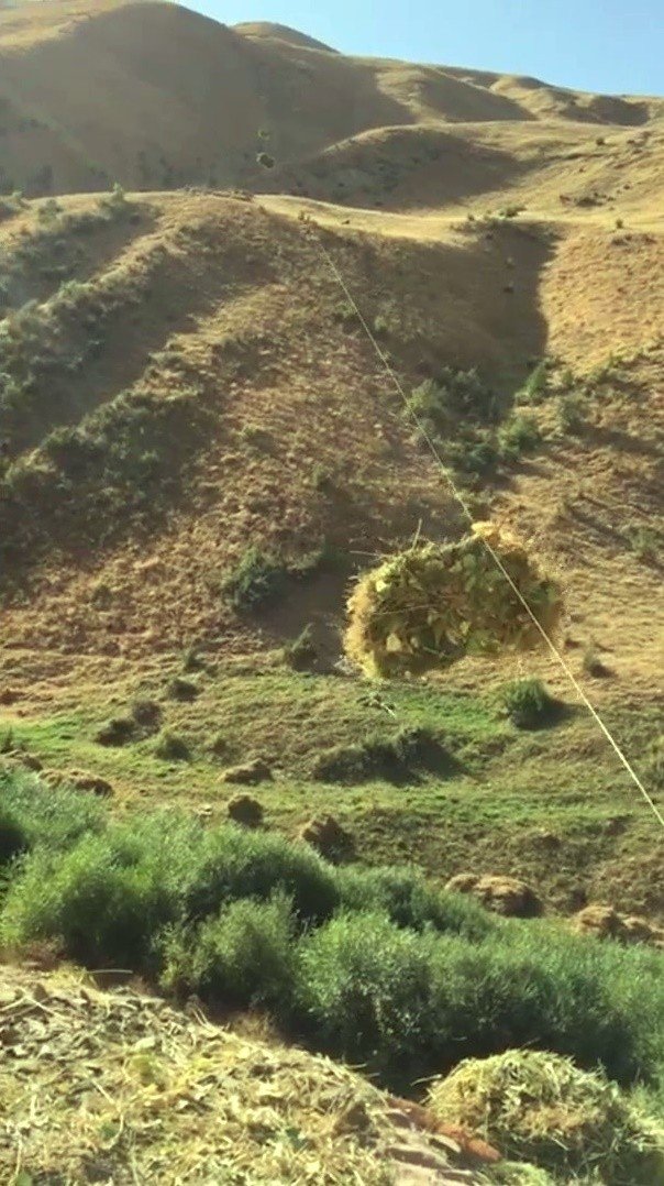 Çiftçilerin Zorlu Mesaisi