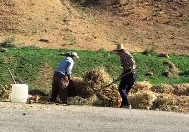 Çiftçilerin Zorlu Mesaisi