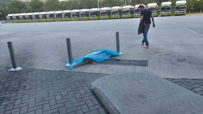 Böyle Vicdansızlık Görülmedi