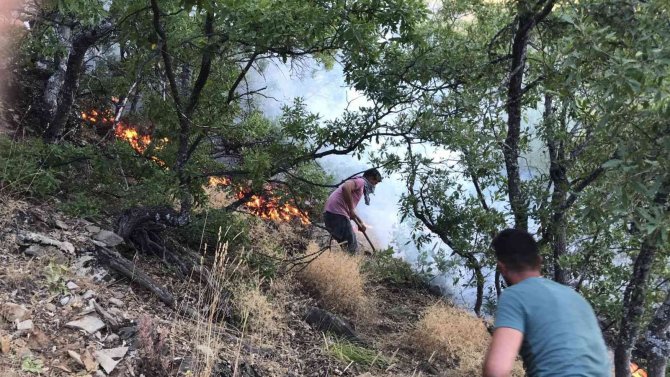 Tunceli’deki Örtü Yangını Kontrol Altına Alındı
