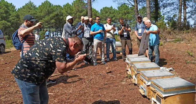 400 Yabancı Konuğa Yerli Arı Irk Ve Ekotipler Tanıtıldı