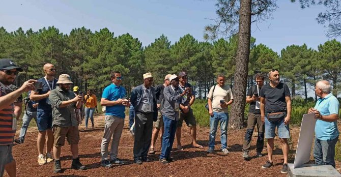 400 Yabancı Konuğa Yerli Arı Irk Ve Ekotipler Tanıtıldı