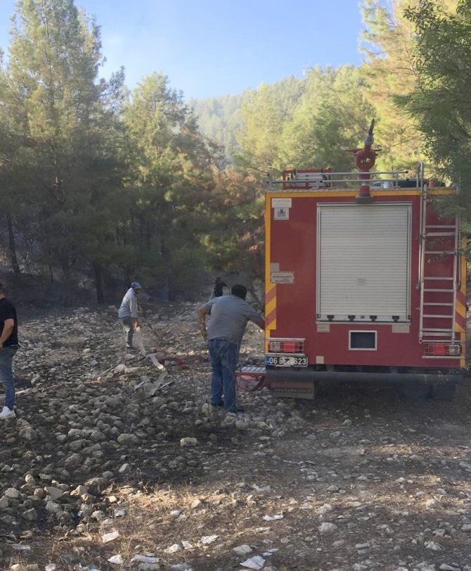 Ormanlık Alanda Çıkan Yangın Korkuttu