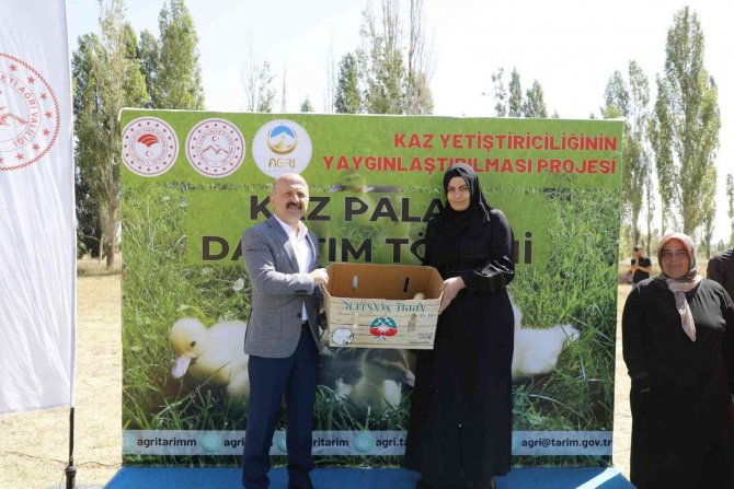 Ağrı’da 5 Bin Adet Kaz Palazı Üreticiye Dağıtıldı