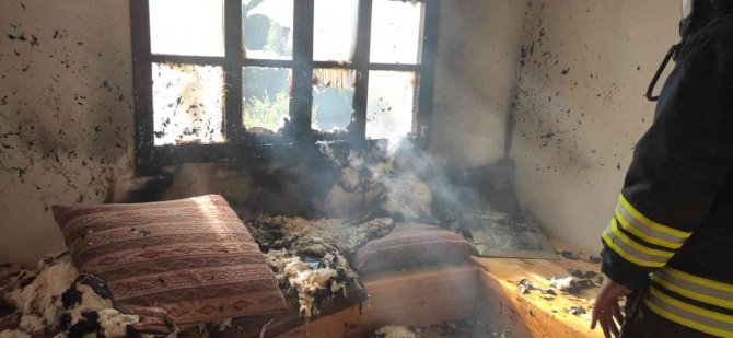 Altınova’da Villada Çıkan Yangın Korkuttu