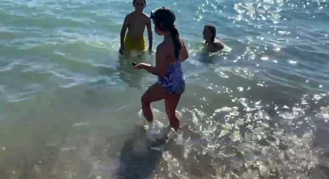 Vatandaşlar, Yuvadan Çıkan Yavru Carettaları Denizle Buluşturdu