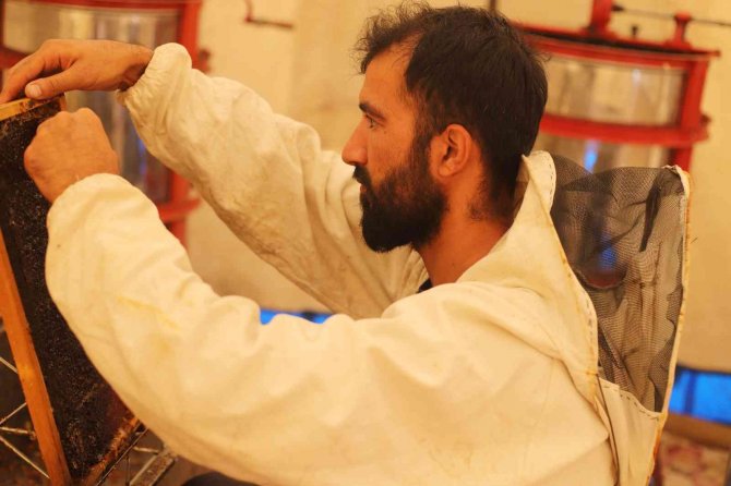 Süphan Dağı Eteklerinde Bal Sağımı