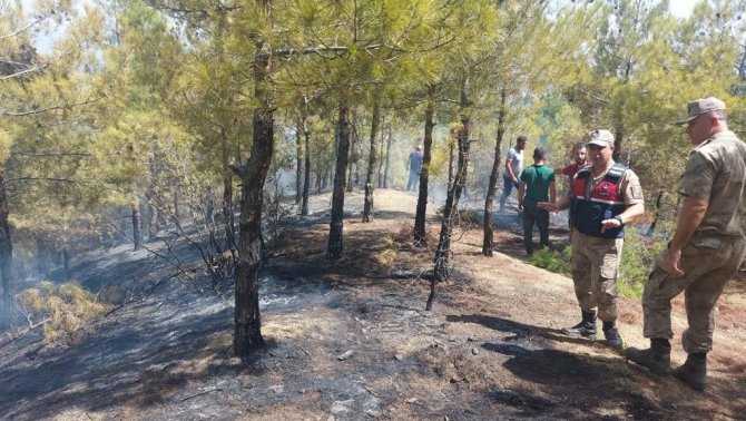 Hatay’da Çıkan Orman Yangınına Müdahale Ediliyor