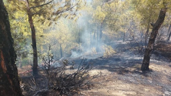 Hatay’da Çıkan Orman Yangınına Müdahale Ediliyor