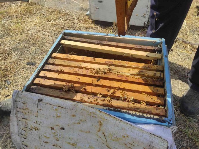 Tüketilen Ballara Dikkat, Kimyasal Madde İçerebilir