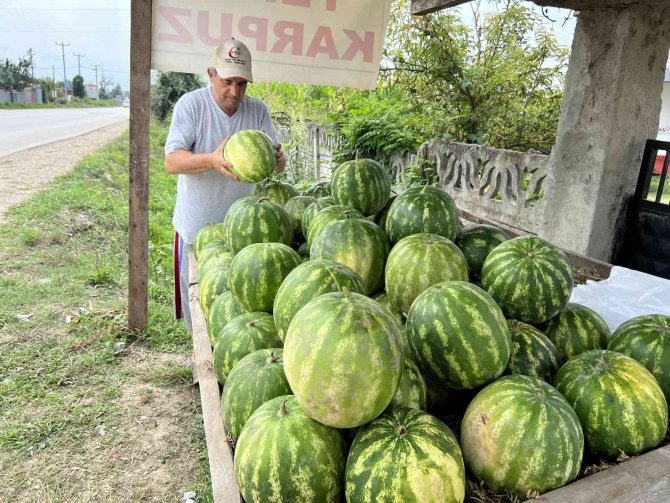90 Günde Yetişiyor, Adana’ya Rakip