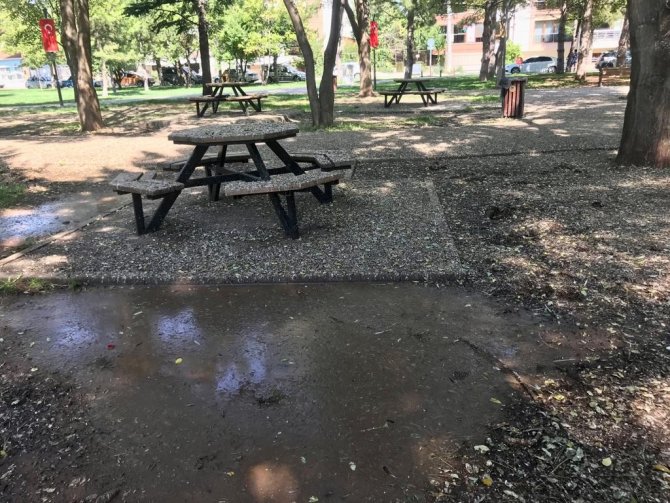 Kuş Dışkıları Bu Hale Getirdi