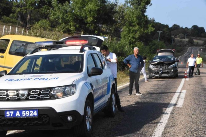 Sinop’ta Aracın Çarptığı Büyükbaş Hayvan Telef Oldu