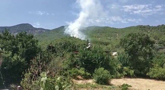 Hatay’da Orman Yangını