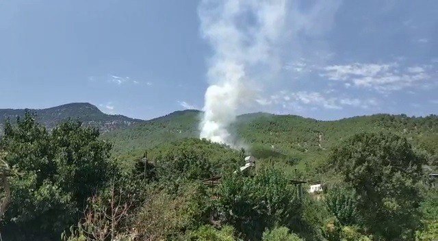 Hatay’da Orman Yangını