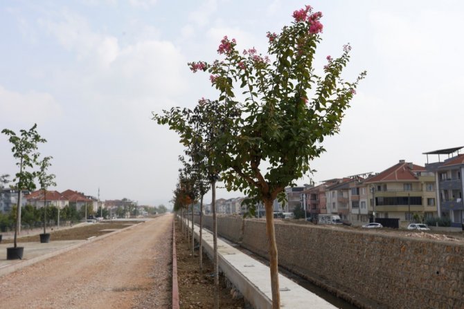 Kanal İ̇negöl Yeşilleniyor