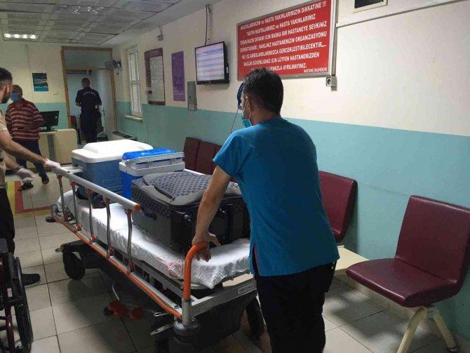 Bağışlanan Organlarıyla 3 Hastaya Umut Oldu