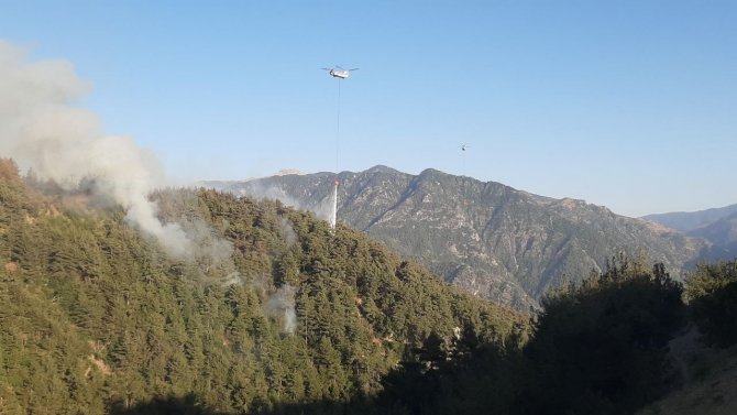 Kahramanmaraş’taki Yangında 35 Hektar Ormanlık Alan Zarar Gördü
