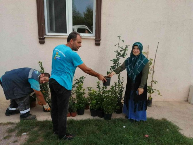 Kartepe’nin En Güzel Bahçeleri Tescillendi