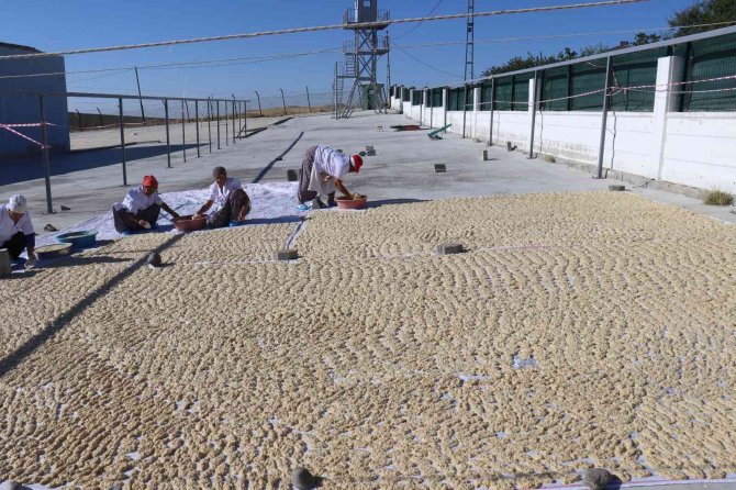 Cezaevi, Üretim Tesisi Oldu