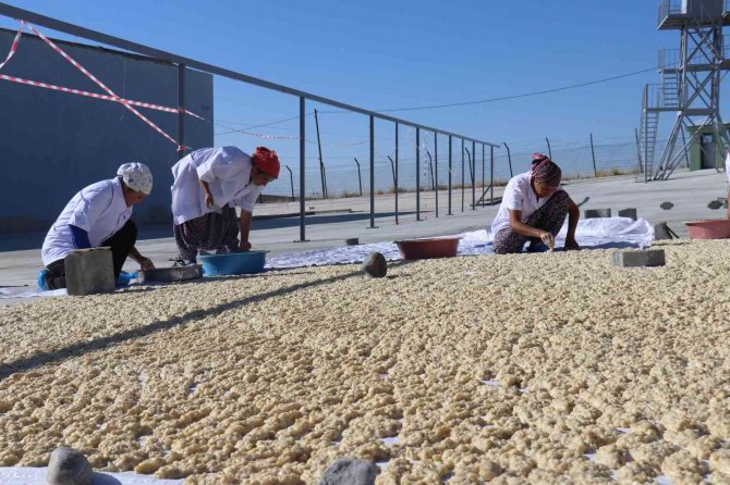 Cezaevi, Üretim Tesisi Oldu