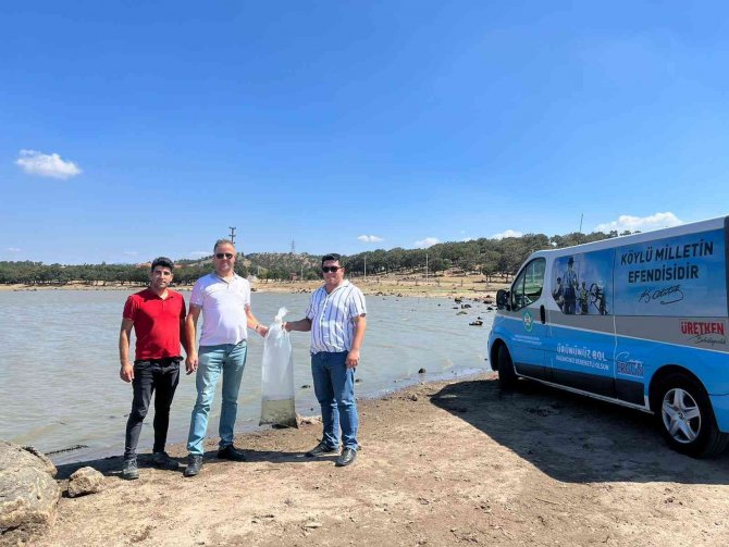 Akhisar Ve Kırkağaç’ta 2 Gölete 4 Bin Yavru Sazan Bırakıldı