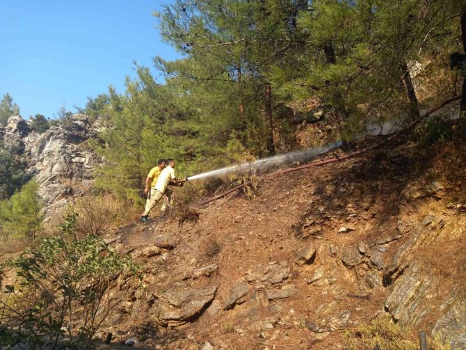 Ormanlık Alanda Çıkan Yangın Ağaçlara Sıçramadan Söndürüldü