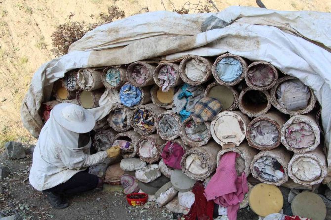 Yaylalarda Huzur Ortamının Oluşmasıyla Köylüler Bal Üretiyor