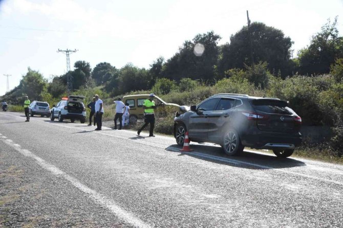 Sinop’ta Aracın Çarptığı Büyükbaş Hayvan Telef Oldu