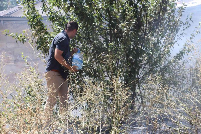Alevlerin Arasında Kalan Kirpi Son Anda Kurtarıldı