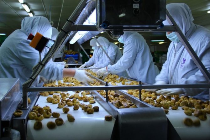 Tari̇ş Kuru İncir Fiyatları Belli Oldu