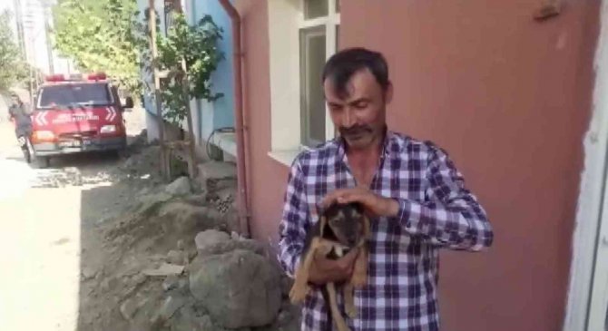 Duvar Kırıldı, Evlerin Arasına Sıkışan Köpek 3 Saatlik Çalışma İle Kurtarıldı