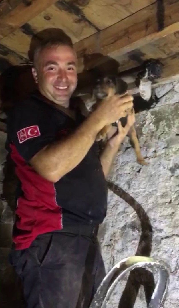 Duvar Kırıldı, Evlerin Arasına Sıkışan Köpek 3 Saatlik Çalışma İle Kurtarıldı
