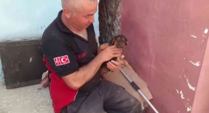 Duvar Kırıldı, Evlerin Arasına Sıkışan Köpek 3 Saatlik Çalışma İle Kurtarıldı