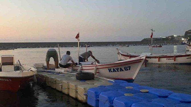 Karadeniz’de Palamut Bereketi Yüz Güldürüyor