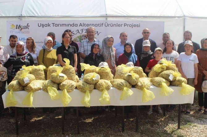 Uşak İli İçin Alternatif Yeni Bir Ürün; Safran