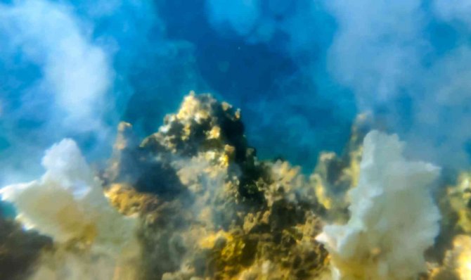 Van Gölü’nün Derinliklerinde Dumana Benzer Maden Suyu Çıkışları Görüntülendi