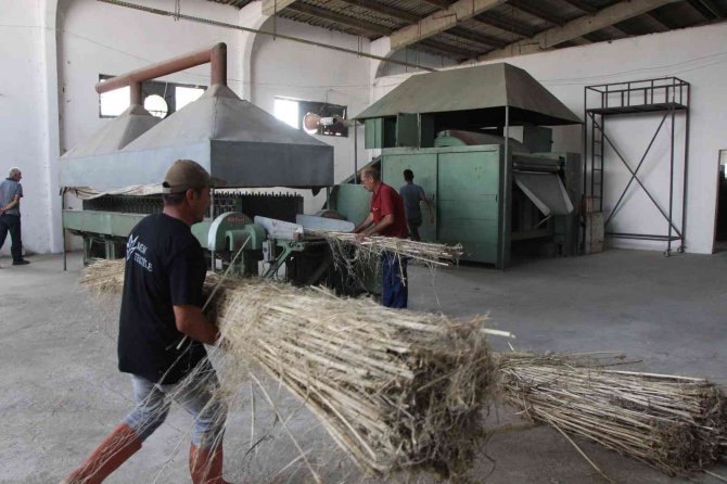 40 Yıldır Atıl Fabrika Devlet Desteğiyle Ayağa Kalkıyor