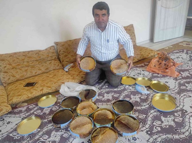 Ağaç Kovuklarından Çıkardıkları Balın Kilosunu Bin 500 Liradan Satıyorlar
