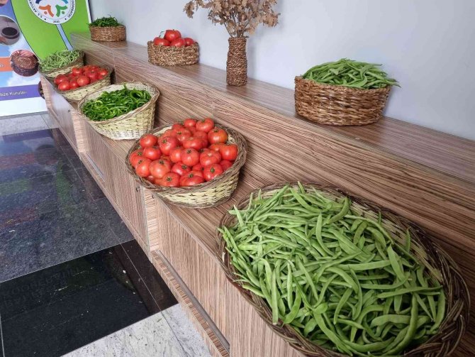 Akyurt Fasulyesi’nin Üretimi Artırılacak