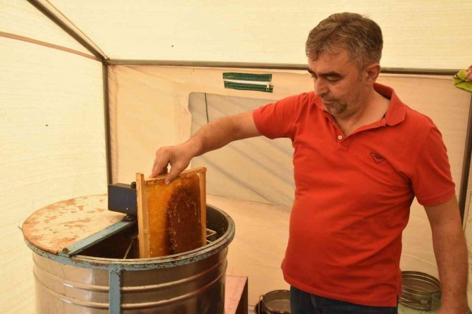 Bitlis Balı Londra’da ‘Altın Bal’ Yarışmasında Birinci Oldu