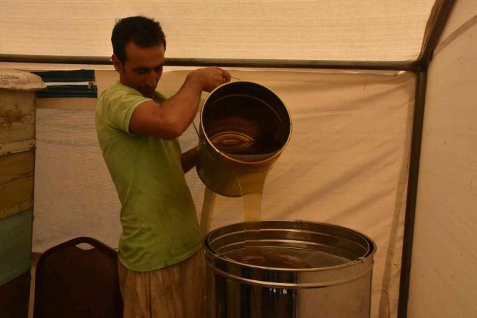 Bitlis Balı Londra’da ‘Altın Bal’ Yarışmasında Birinci Oldu