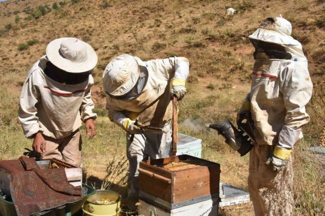 Bitlis Balı Londra’da ‘Altın Bal’ Yarışmasında Birinci Oldu