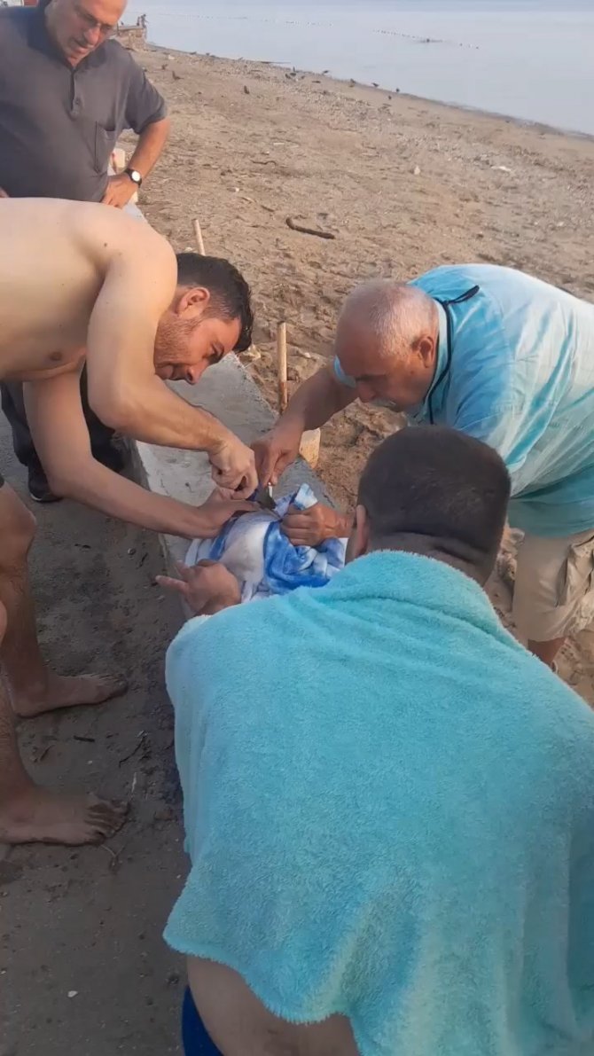 Misinaya Takılan Martı Özgürlüğüne Böyle Kavuştu