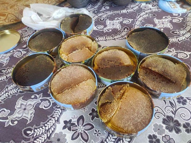 Ağaç Kovuklarından Çıkardıkları Balın Kilosunu Bin 500 Liradan Satıyorlar