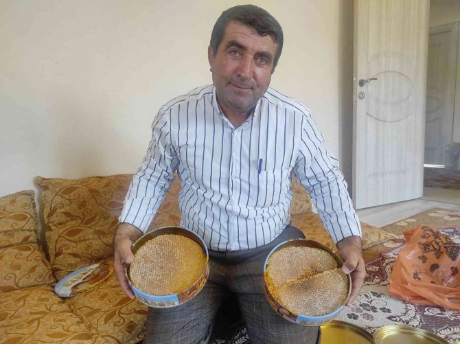 Ağaç Kovuklarından Çıkardıkları Balın Kilosunu Bin 500 Liradan Satıyorlar