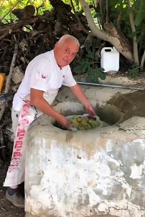 Organik Üzüme Geleneksel Kurutma Yöntemi