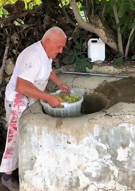 Organik Üzüme Geleneksel Kurutma Yöntemi