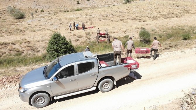 Keklikler Dron İle Görüntülendi